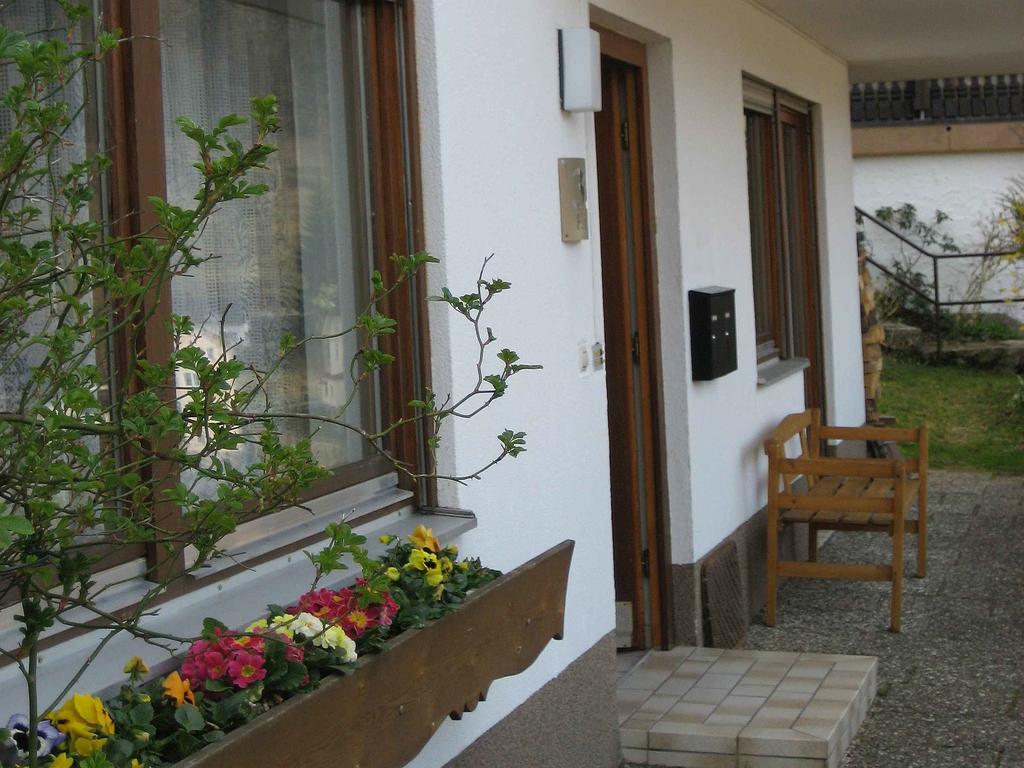 Ferienwohnung King Triberg im Schwarzwald Εξωτερικό φωτογραφία