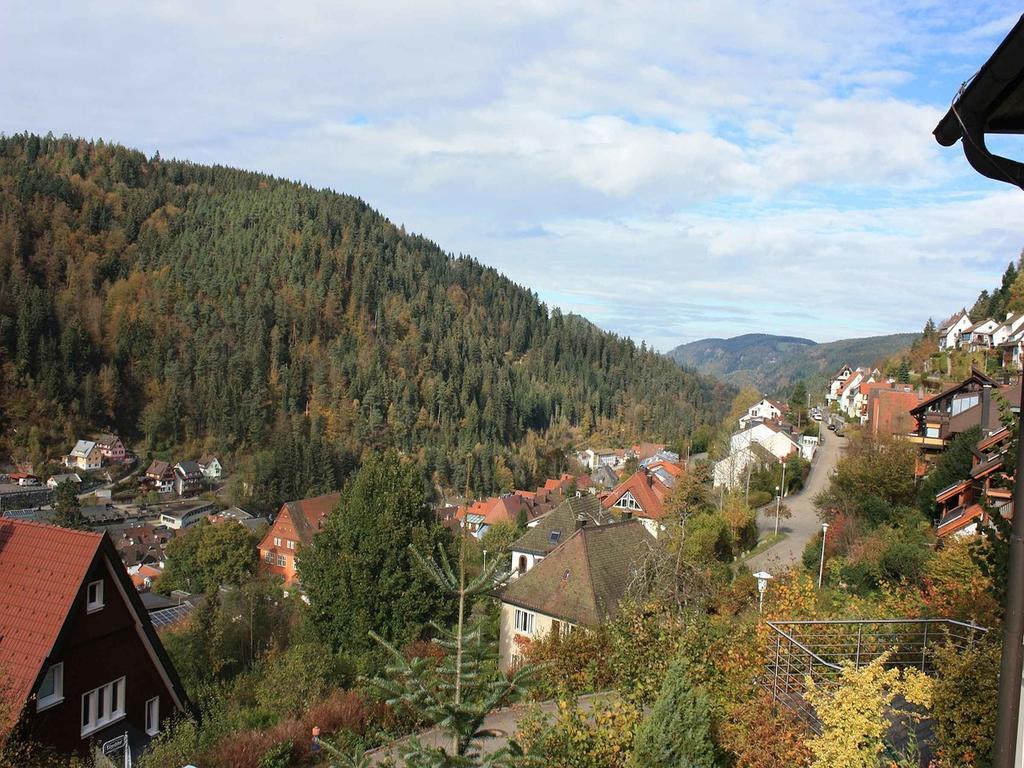 Ferienwohnung King Triberg im Schwarzwald Εξωτερικό φωτογραφία